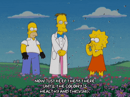 homer simpson bees GIF