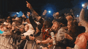 gippslandcountrymusicfest country music cowboy live music music festival GIF