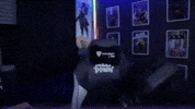 Damy GIF