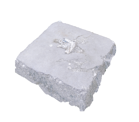 Gifmakerolive giphyupload stone concrete thememoryofstone Sticker