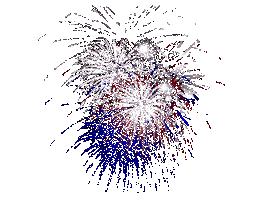 4th of july fireworks STICKER
