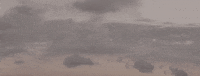 On My Mind Yo Moxie GIF by Moxie Raia