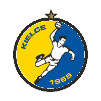 Handball Pilka Reczna Sticker by VIVE KIELCE