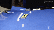 grill ferrari GIF by Yiannimize
