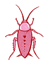Pink Glitter Sticker by Creepy Gals