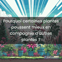 Biodiversité Du Sol GIF by ExpliquePourquoi.com