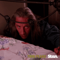 twin peaks s1 GIF by Stan.