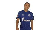 Fc Schalke 04 Yes Sticker by Bundesliga
