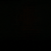 Internet Crypto GIF by Nexus