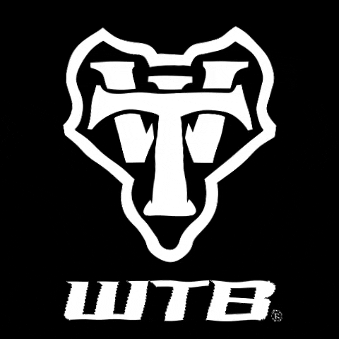 WildernessTrailBikes giphygifmaker wtb wildernesstrailbikes wtb logo GIF
