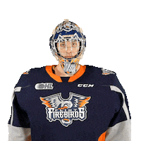 Day Sticker by Flint Firebirds