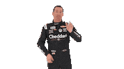 Kyle Busch Wave Sticker by Richard Childress Racing