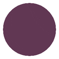 Bpfla Sticker by BHHS Beach Properties of Florida