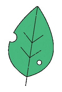 Green Leaf Fall Sticker by katycreates