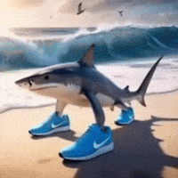 italobrainrottv shark sneaker tralala trallala GIF