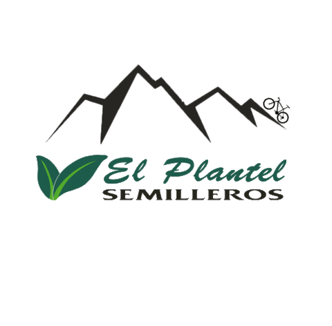 Sport Bike Sticker by El plantel semilleros