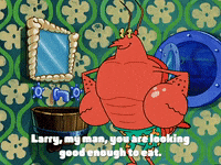 season 3 GIF by SpongeBob SquarePants