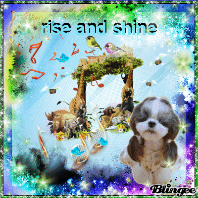 shine GIF