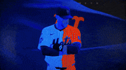 Home Run Baseball GIF by New York Mets