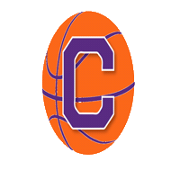 Clemson Tigers Basketball Sticker by Tigertown Graphics
