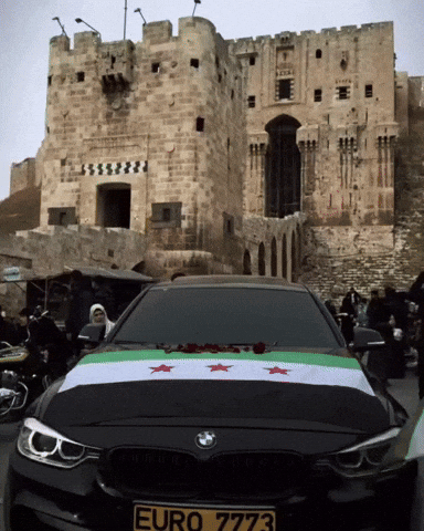 Syria GIF