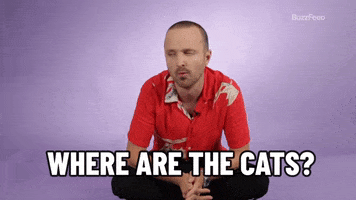 Aaron Paul GIF by BuzzFeed