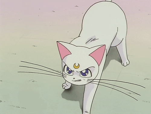 sailor moon GIF