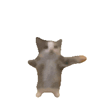 Happy Cat Sticker