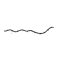 Christmas Lights Sticker