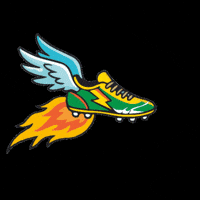 Futbol Team GIF by SubwayMX