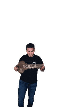 Ore Sticker by Real Estate by Omega