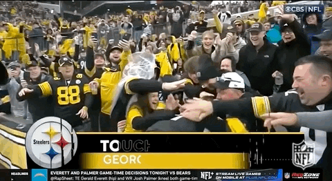 National Football League GIF by NFL
