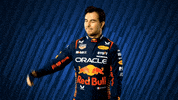 Red Bull Mexico GIF by Oracle Red Bull Racing