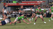 Rugby League Try GIF by Canberra Raiders