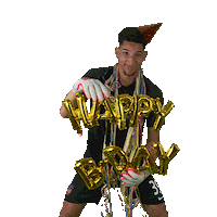 Happy Birthday Hdh Sticker by 1. FC Heidenheim 1846