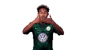 Football Soccer Sticker by VfL Wolfsburg