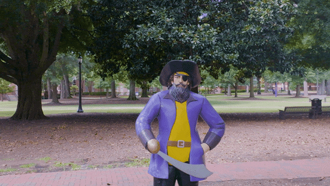Pirate Ecu GIF by East Carolina University