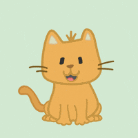 Happy Cat GIF by Ellie the Ellie