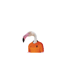 Soccer Pink Sticker by Avonturia