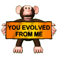 Evolution Funny Monkey Sticker