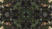 Art Love GIF by jorgemariozuleta