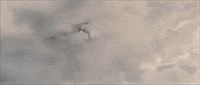 Larian Studios Baldurs Gate 3 GIF