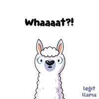 Wait What GIF by VeeFriends