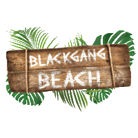 BlackgangChine isleofwight blackgangchine blackgangbeach Sticker