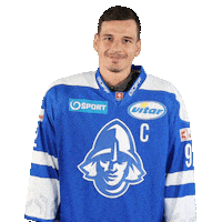 tiposshl sport hockey hokej shl Sticker