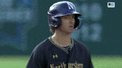Wildcats Cubs GIF by Northwestern Athletics