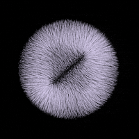 loop displace GIF by roberthruska