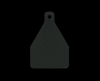 DatamarsLivestock tag goat pig sheep GIF