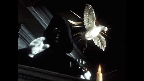 Czechposterman giphygifmaker GIF