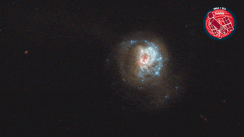 Nasa Looking GIF by ESA/Hubble Space Telescope